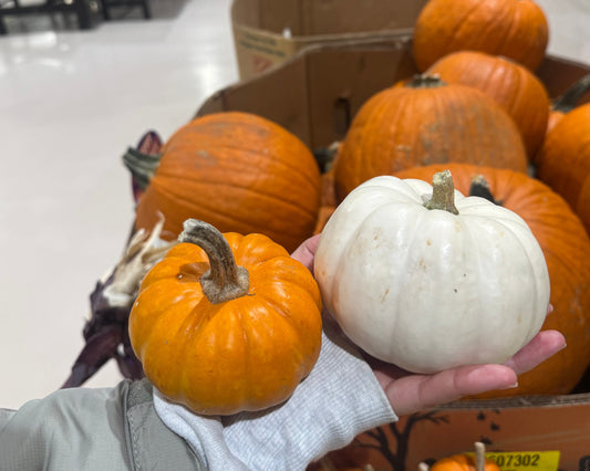 🔥政府關門、數據照樣出爐 九月CPI年增3% 美國通膨降溫/🎃怪奇物語最終季Netflix串流院線一起上/👟失速的運動品牌Deckers Outdoor 擁有最潮跑鞋品牌Hoka正面臨雙重挑戰